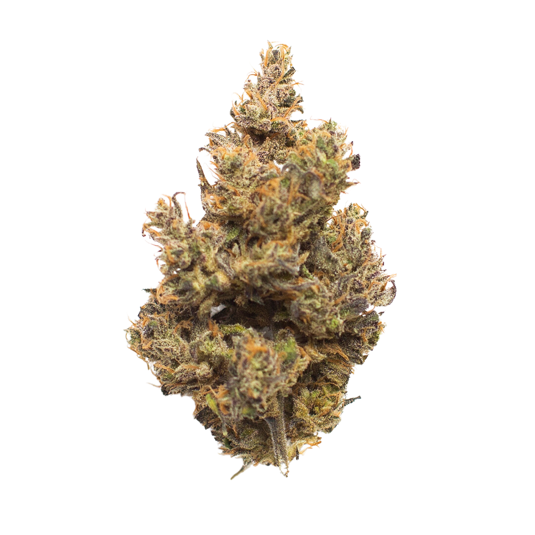 501st OG