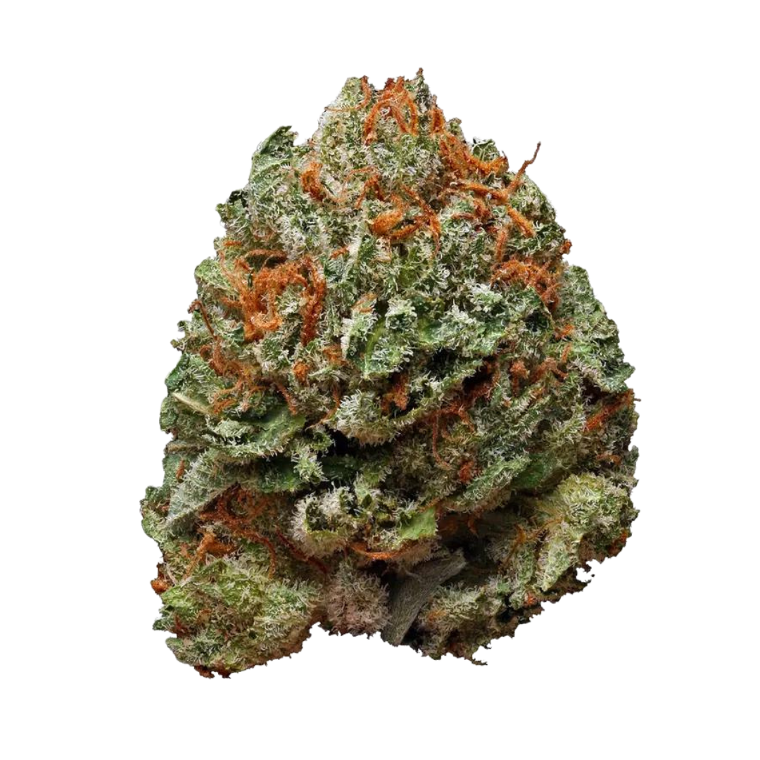 5th Element
