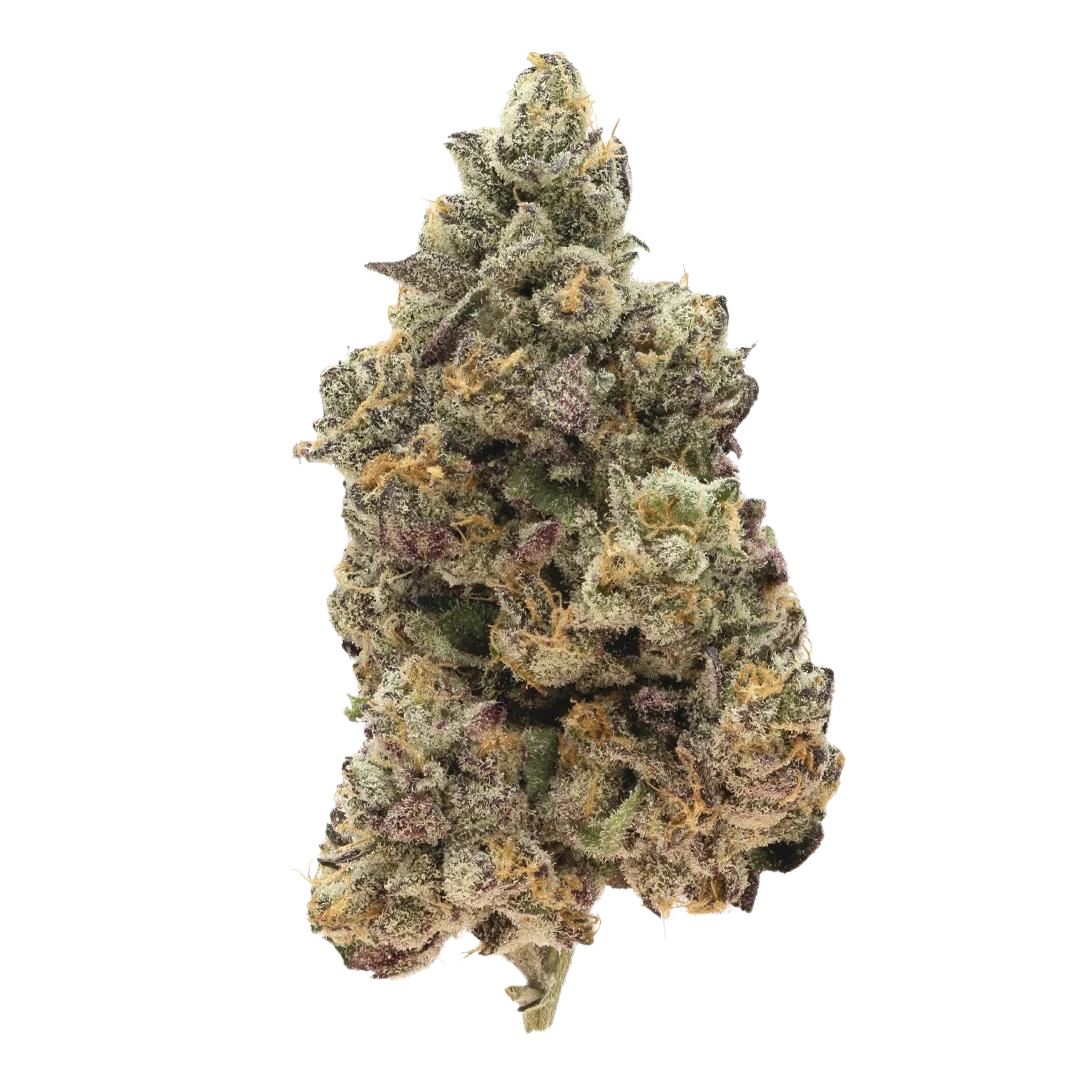 805 Glue