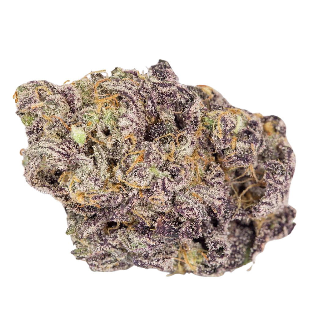 88 G13 Hashplant