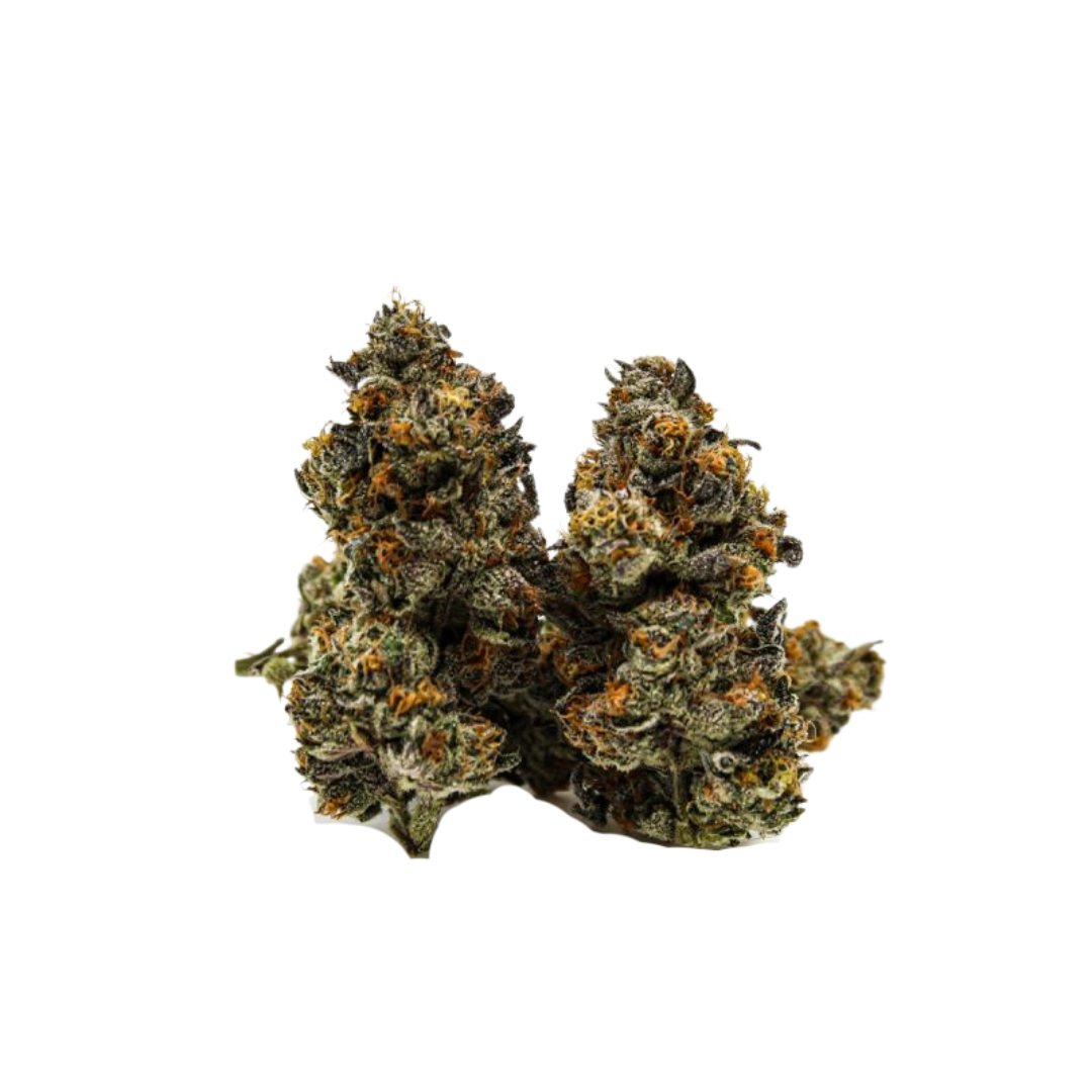 Alley Cat Kush