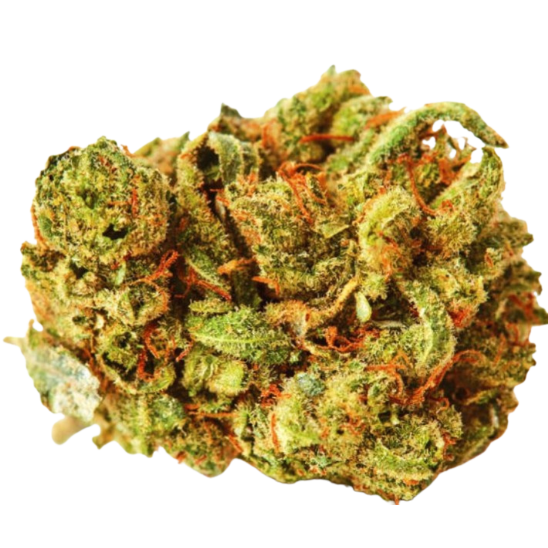 Amnesia Flash