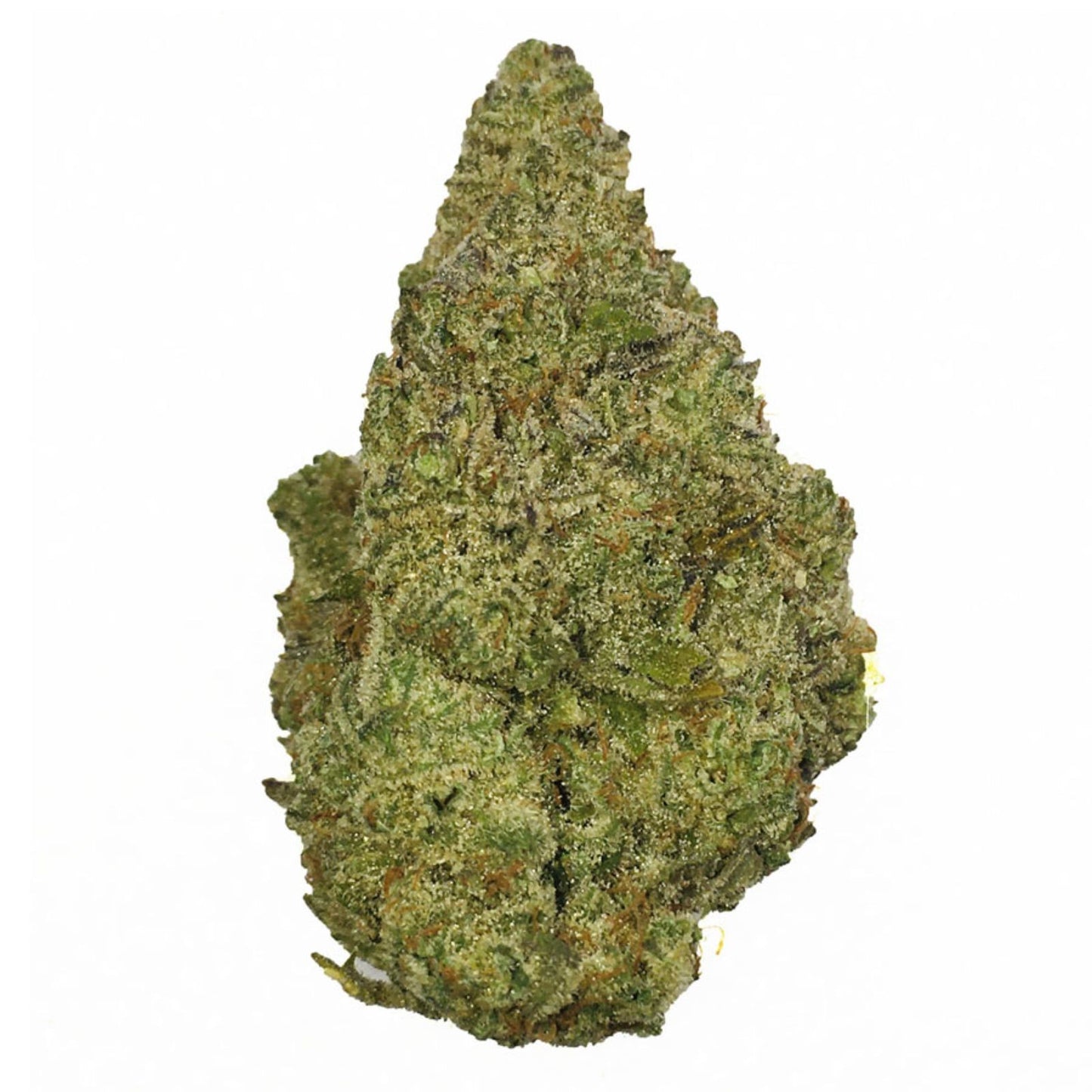 Amnesia OG