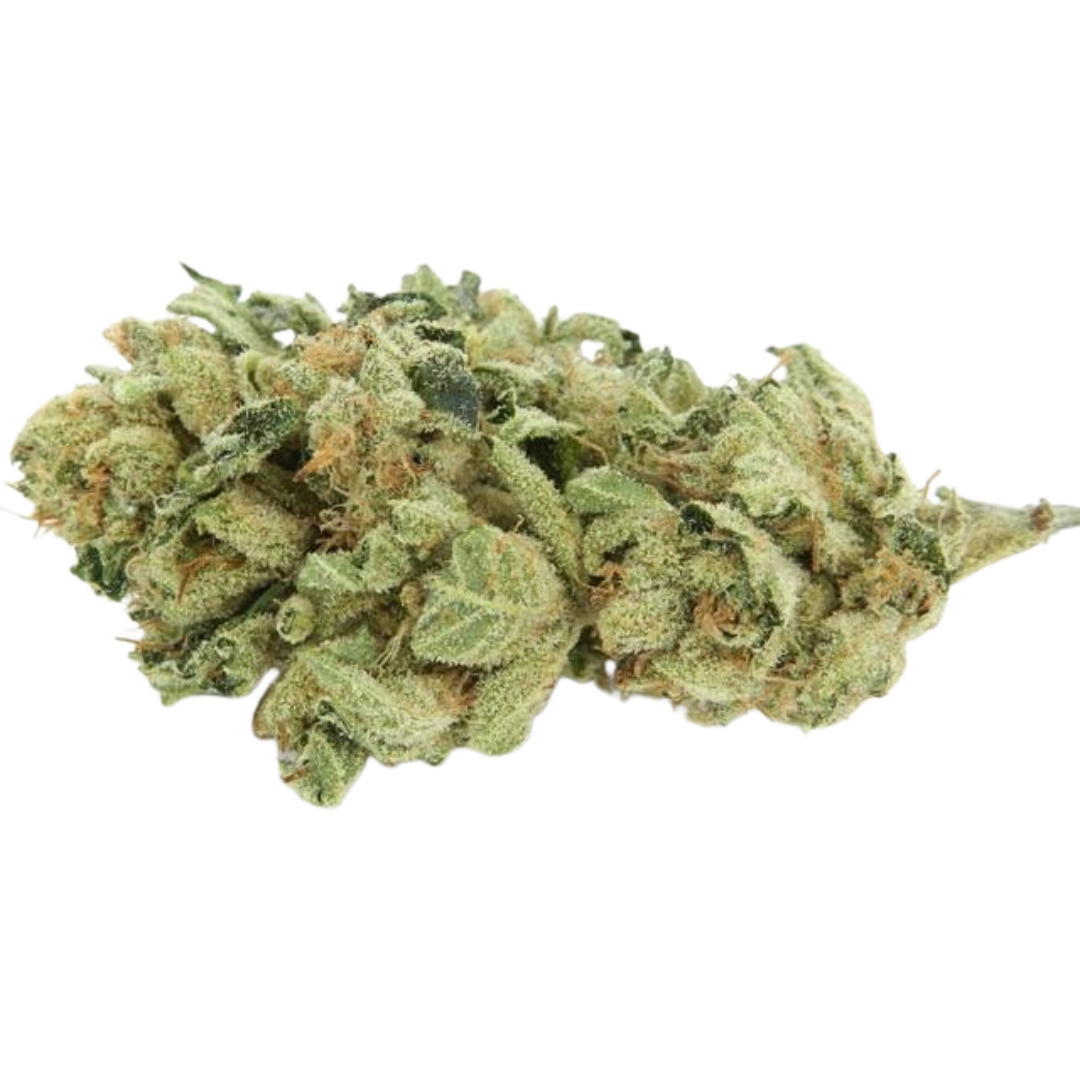 Angels OG