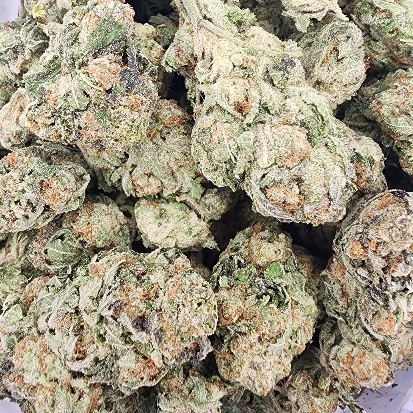 Blueberry Blast