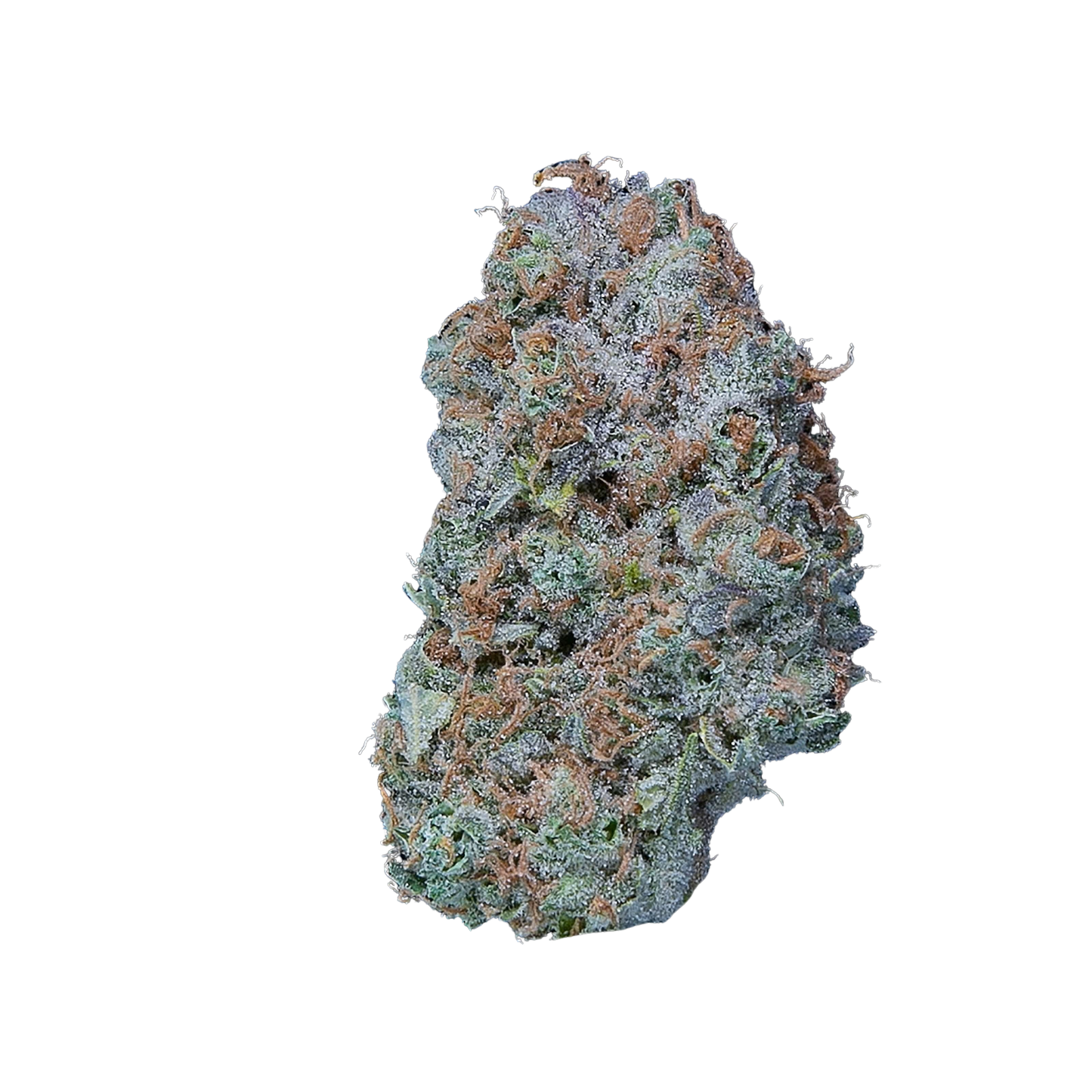 Dutch Haze