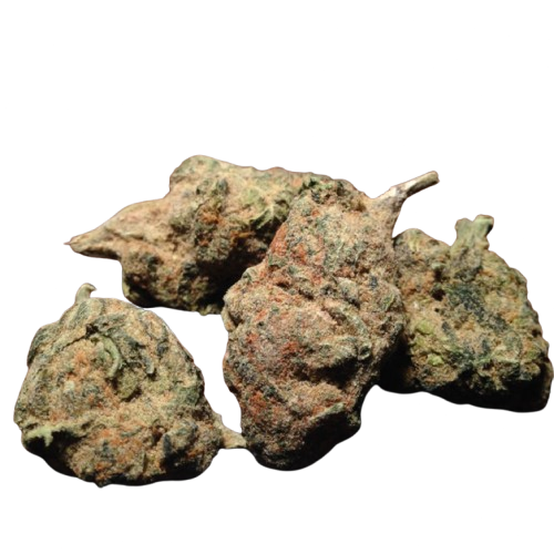 Jamaican Dream