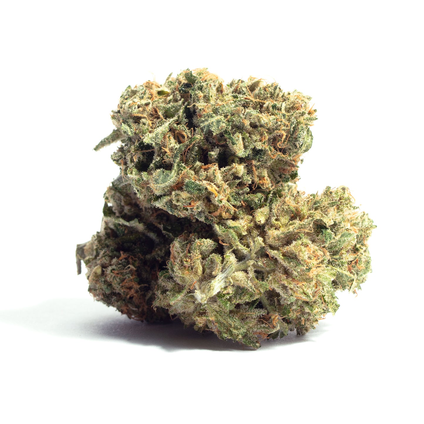 Sour Tsunami cannabis strain