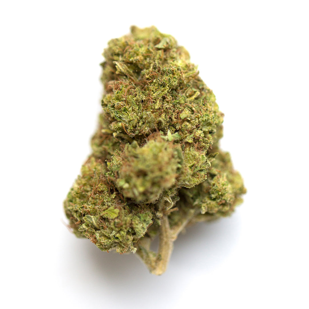 City of God cannabis strain