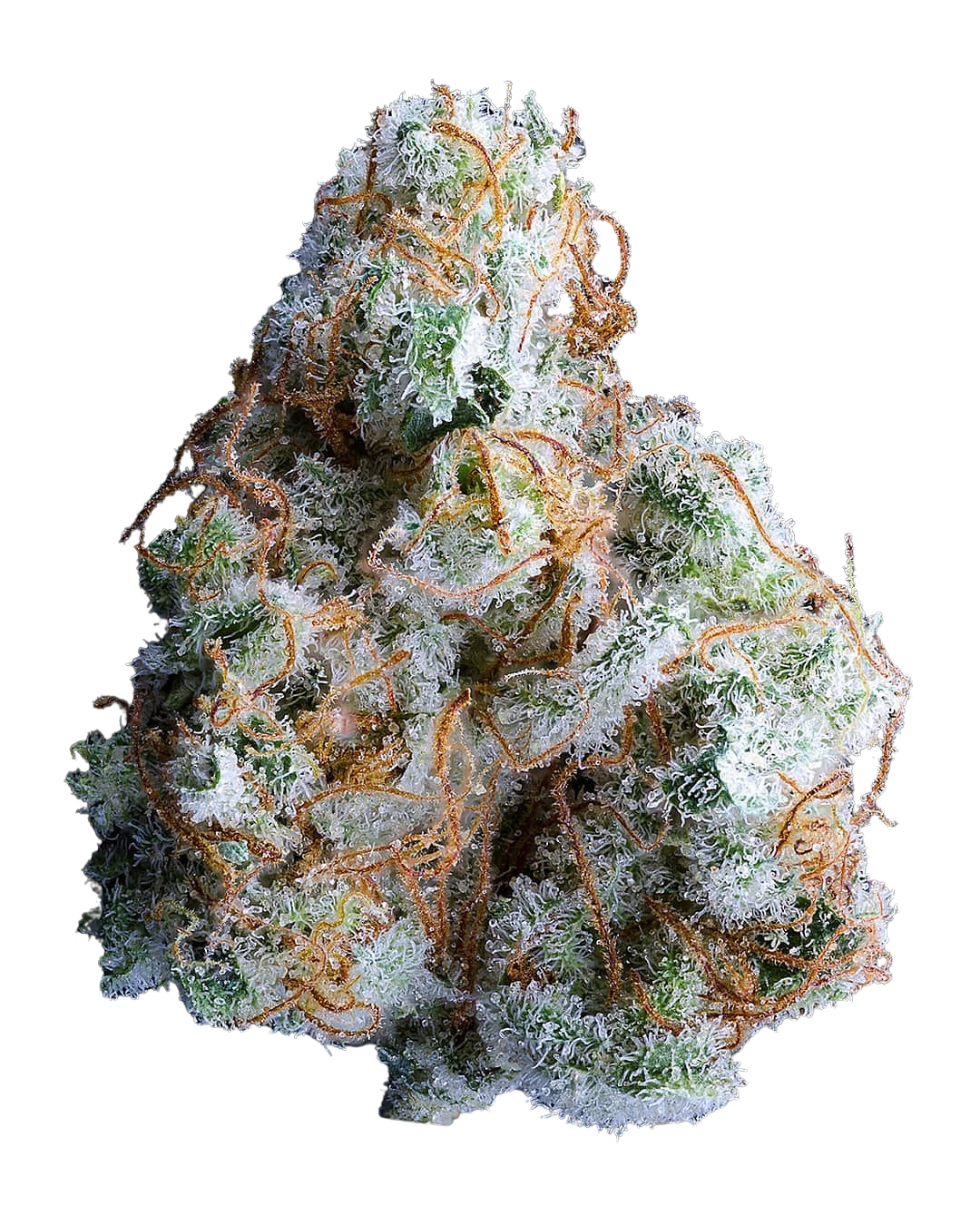 Crystal Coma