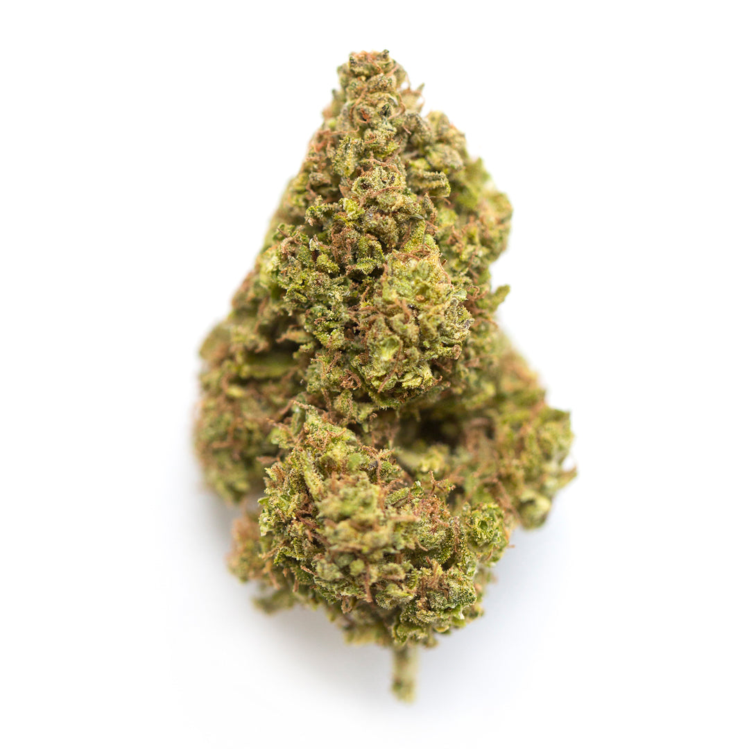 Jager cannabis strain