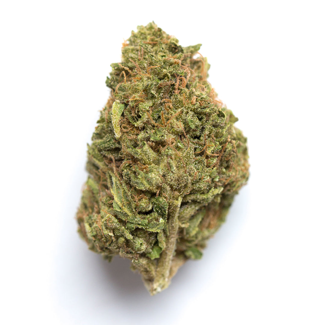 Lemon Kush cannabis strain