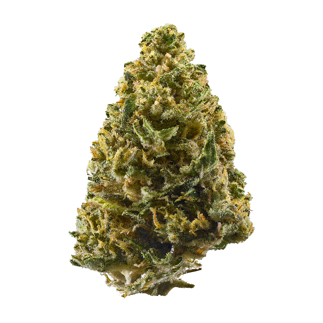 Northern Lights cannabis strain