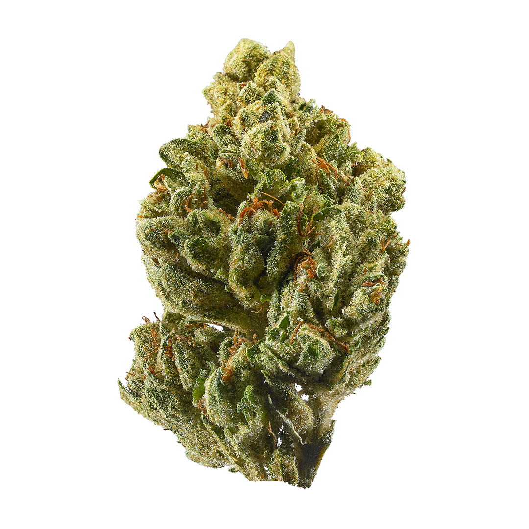OG Kush cannabis strain