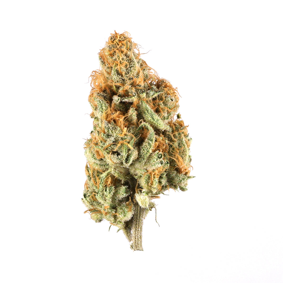 Orange Creamsicle cannabis strain