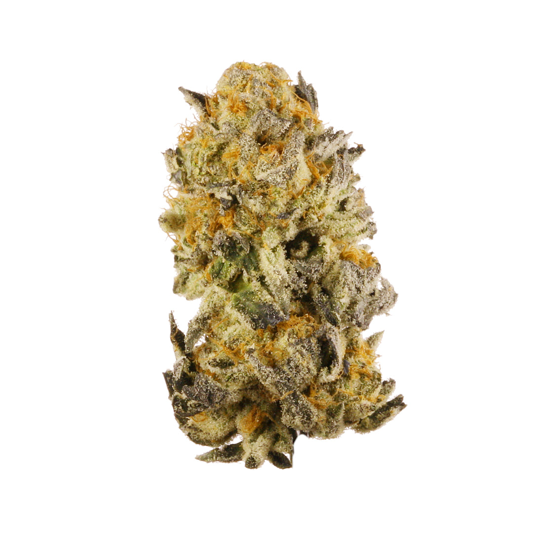 Platinum Cookies cannabis strain