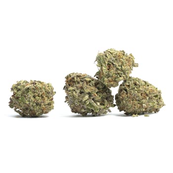Blackberry Kush cannabis strain