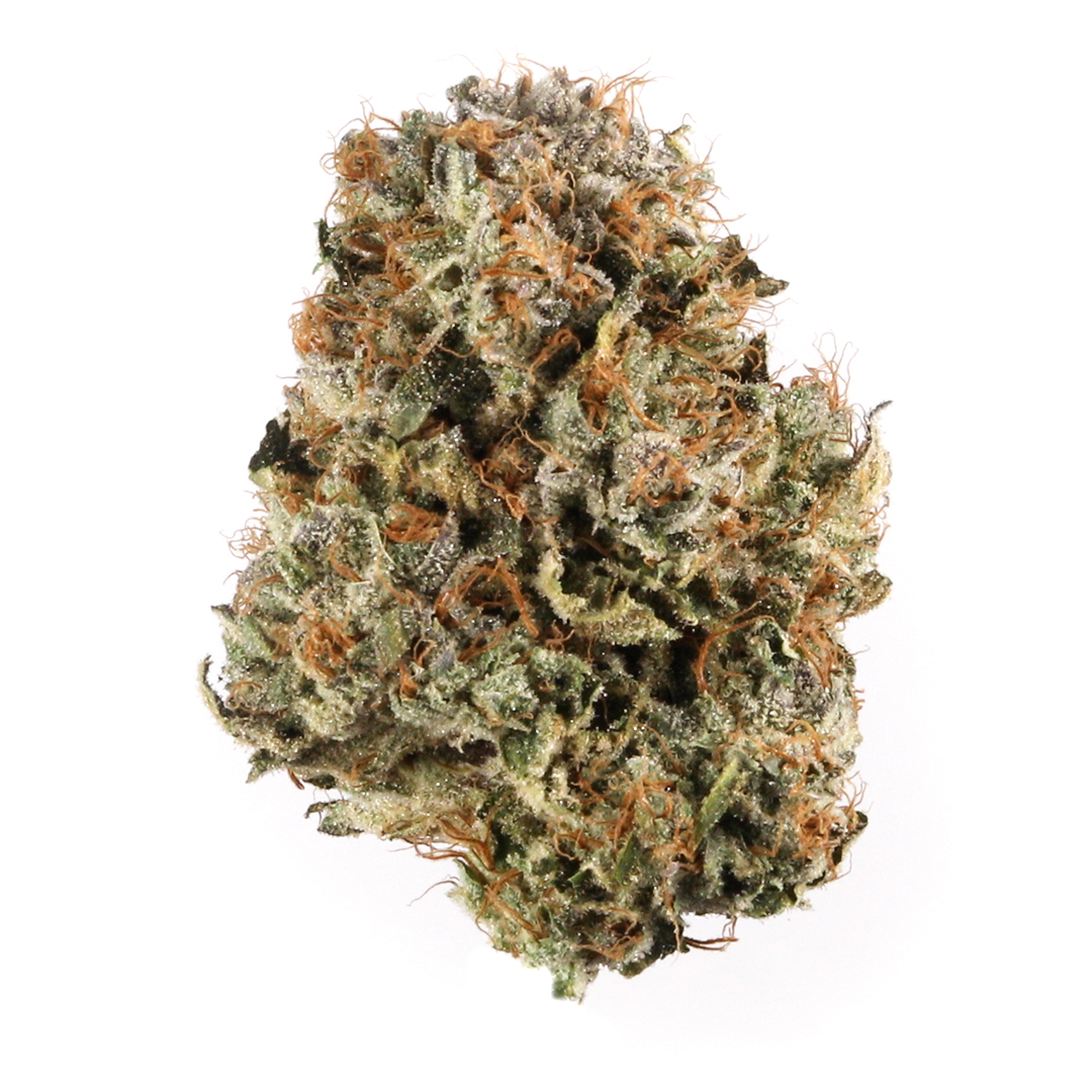 Blue Cheese cannabis strain