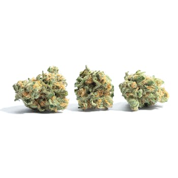 Golden Goat cannabis strain