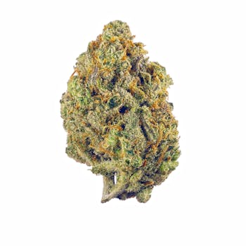 Fruit Punch cannabis strain