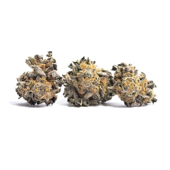 Master Kush cannabis strain