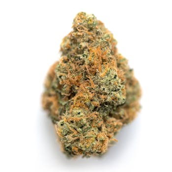 Orange Kush cannabis strain