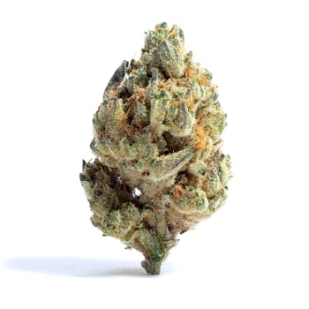 Black Widow cannabis strain