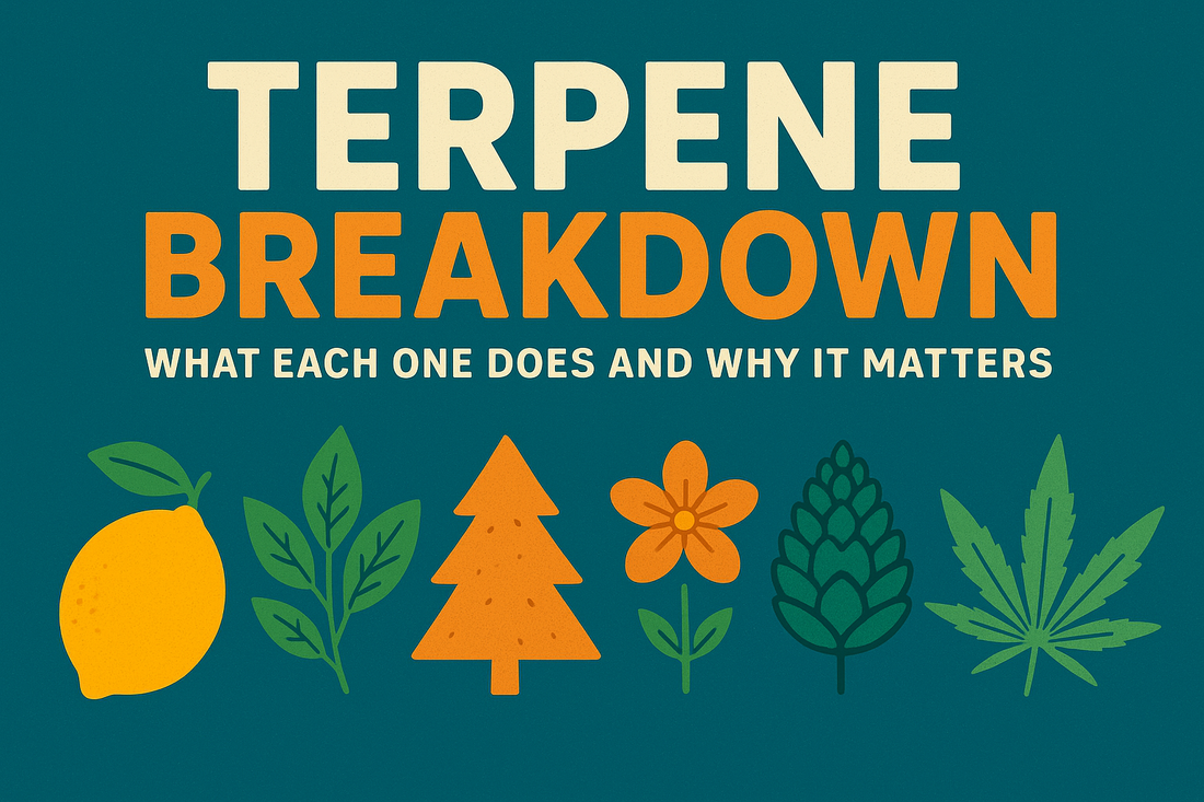 Terpene Breakdown: What Each One Does and Why It Matters