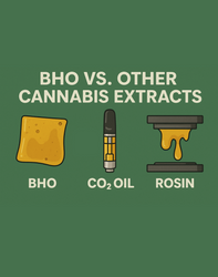 BHO and Other Cannabis Extracts: What You Need to Know