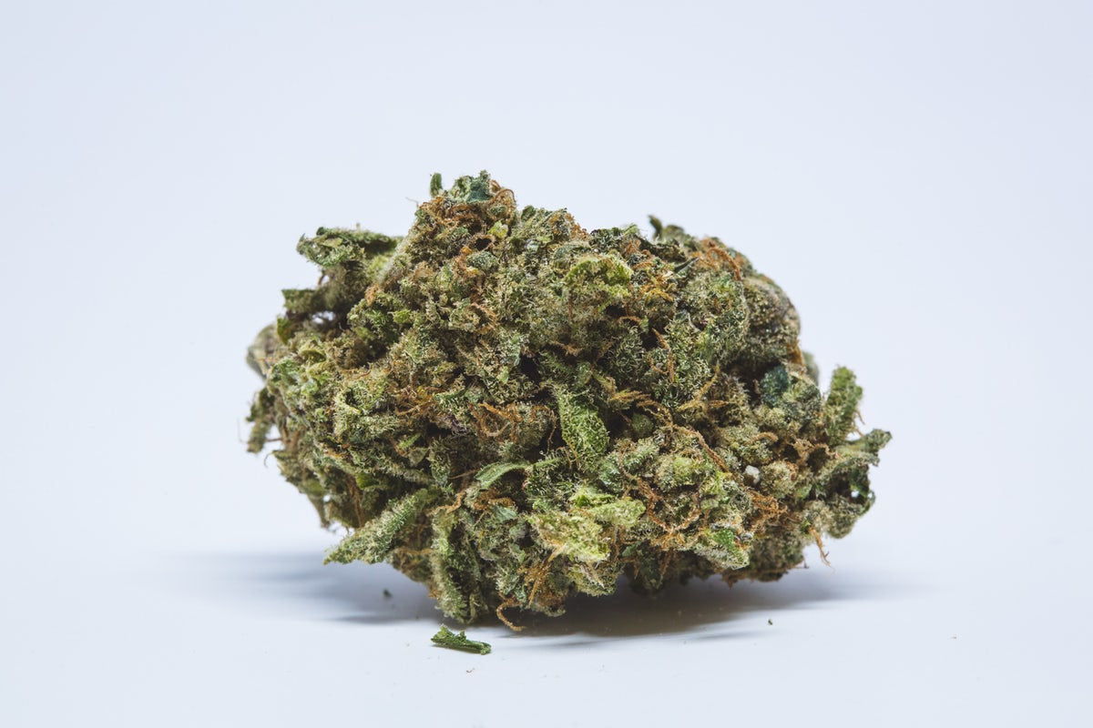 Mazar x Blueberry OG cannabis strain