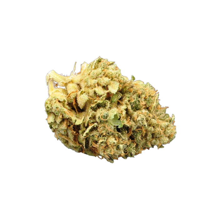 3rd Coast Panama Chunk