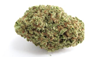 Papaya Punch cannabis strain