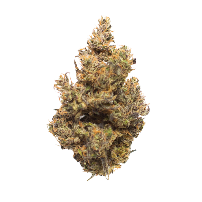 501st OG
