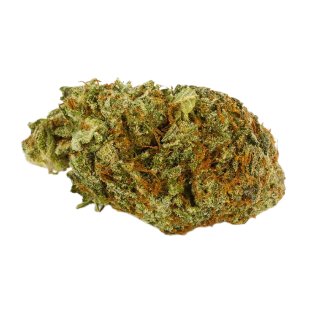541 Kush
