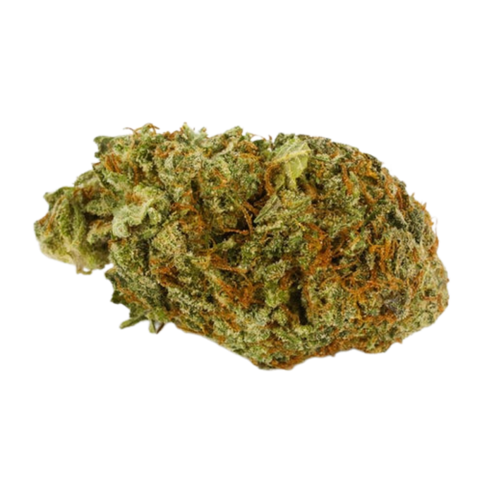 541 Kush