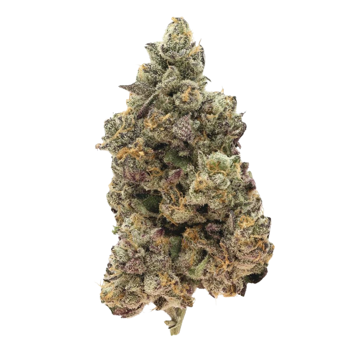 805 Glue
