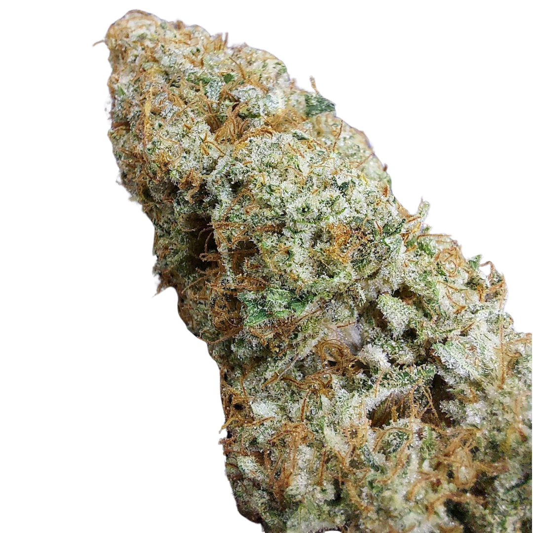 818 Headband