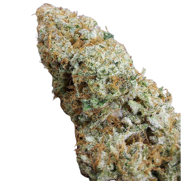 818 Headband