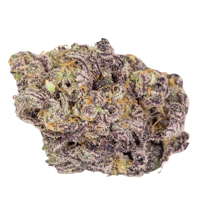 88 G13 Hashplant