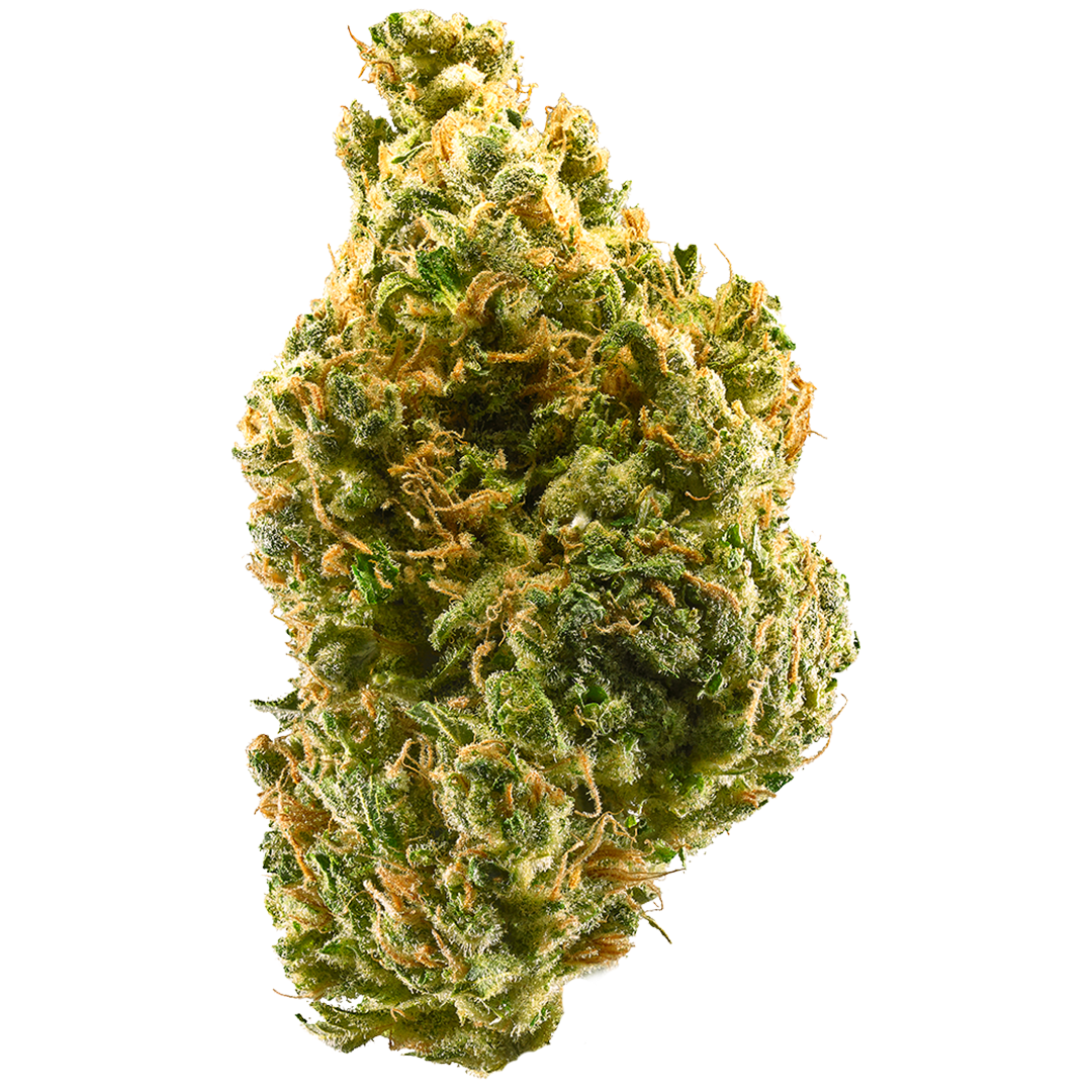 Tangie cannabis strain