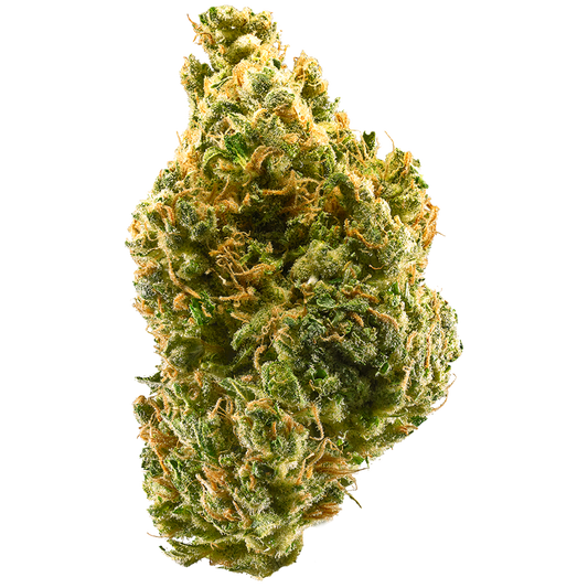 Tangie cannabis strain