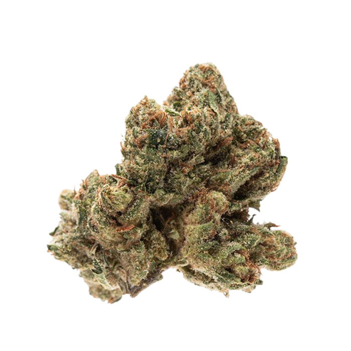 Abusive OG