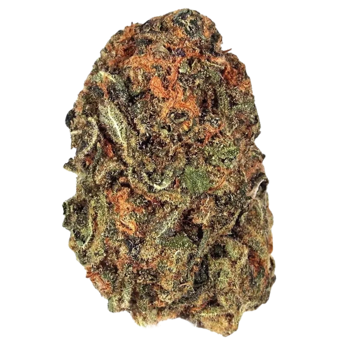 Acapulco Gold