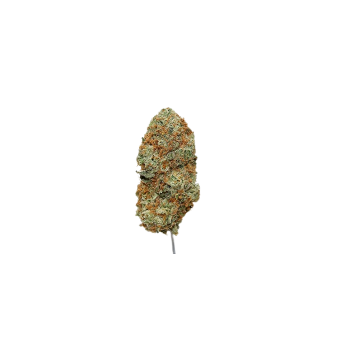 Aceh