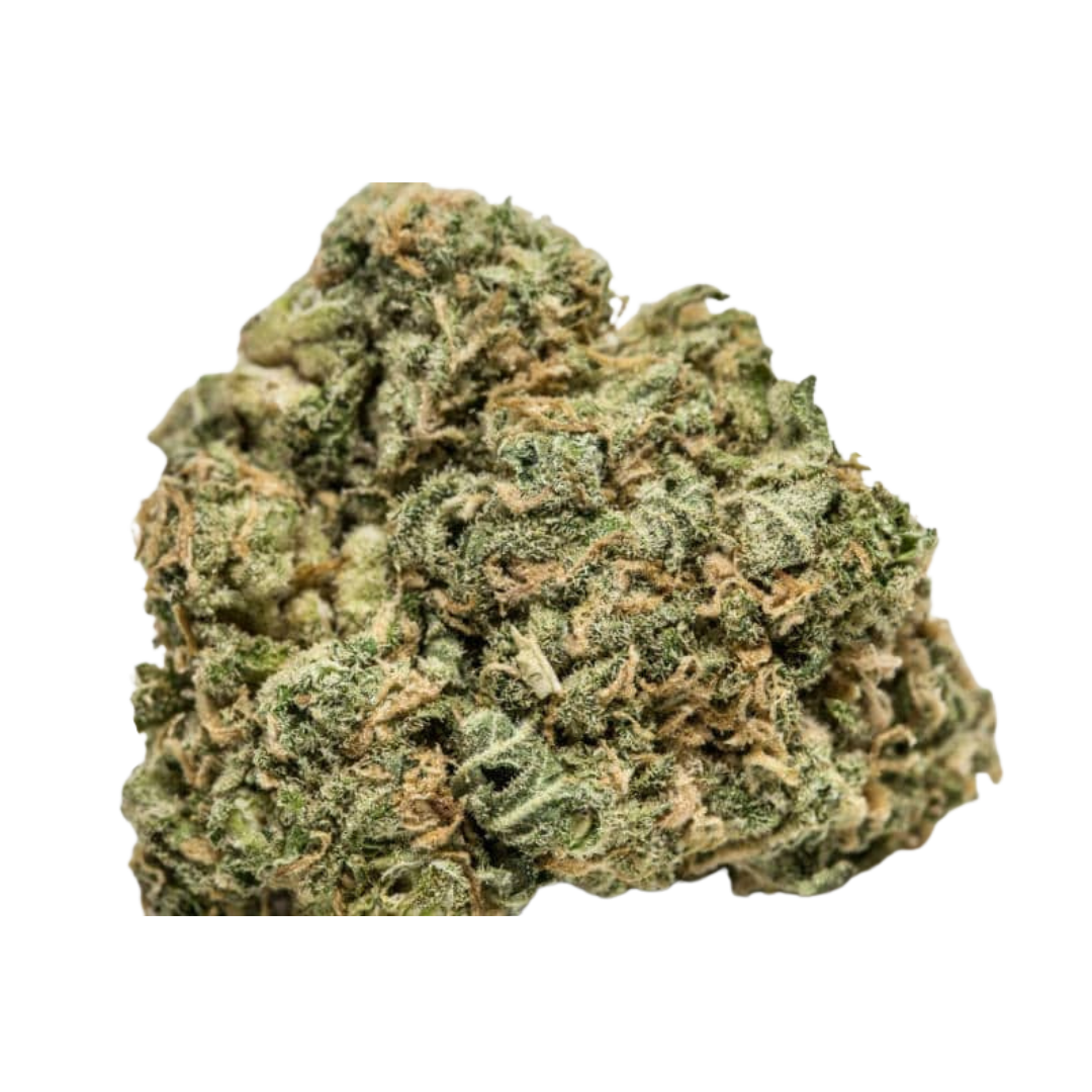 Afghan Cow