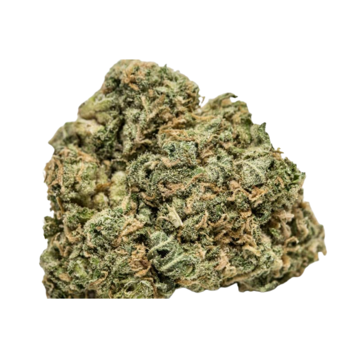 Afghan Cow