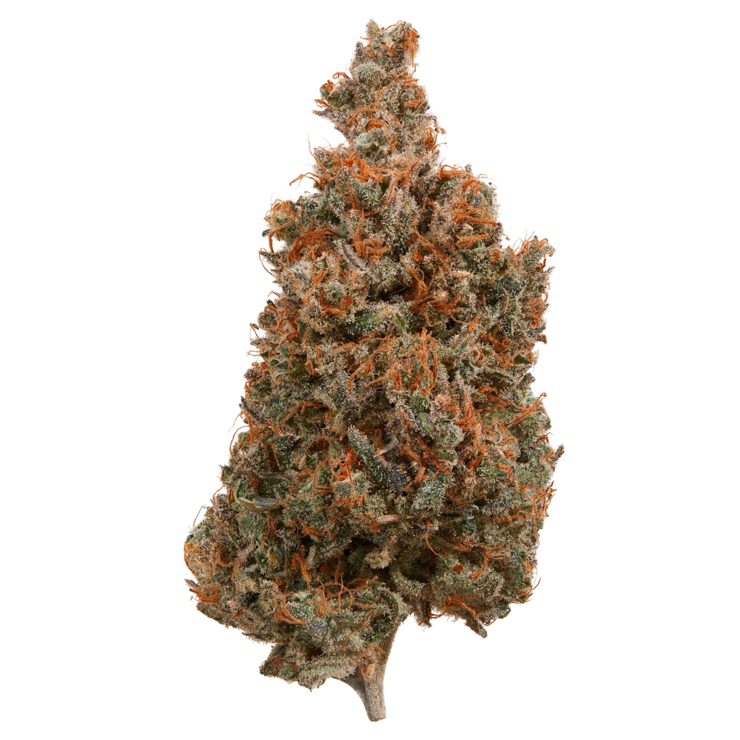 Afghani