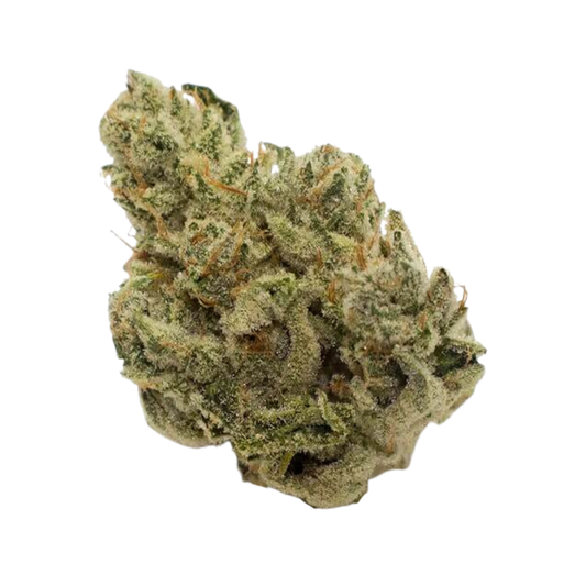 Afghanimal