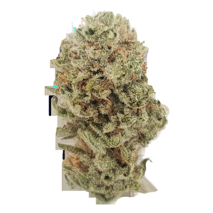 After Life OG