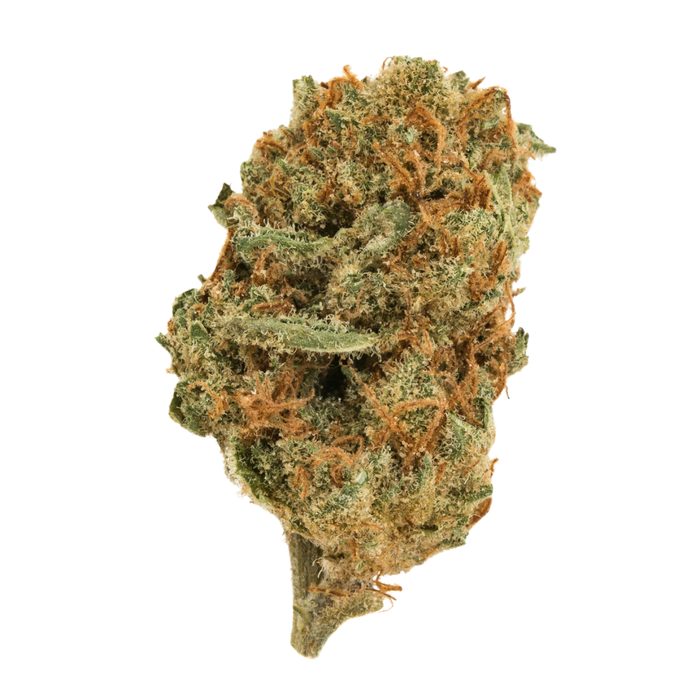 Agent Tangie